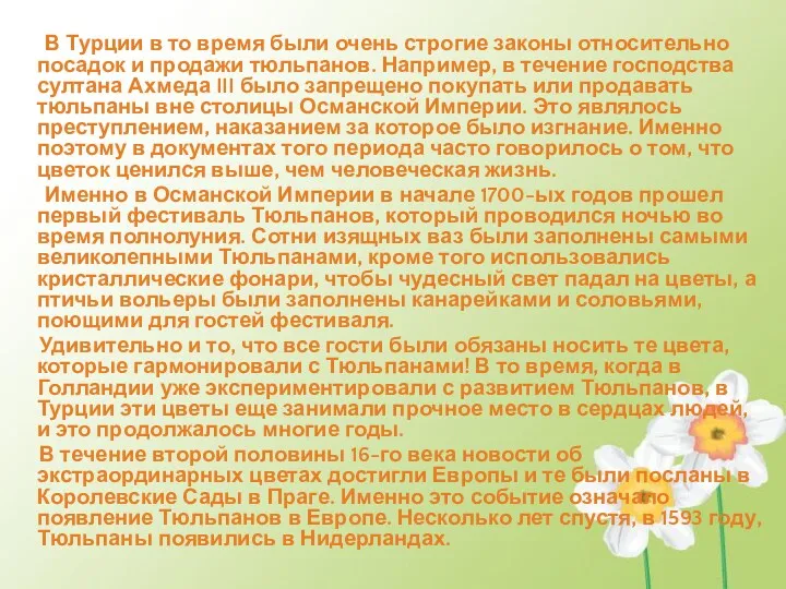 В Турции в то время были очень строгие законы относительно посадок и продажи