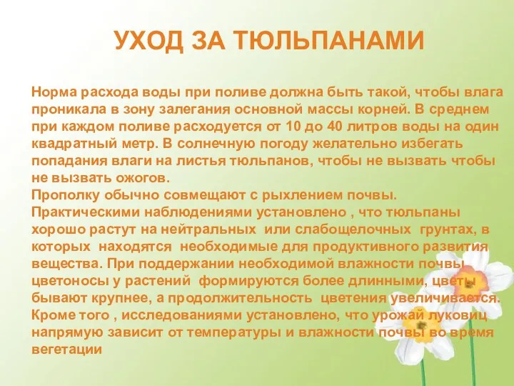 Норма расхода воды при поливе должна быть такой, чтобы влага проникала в зону