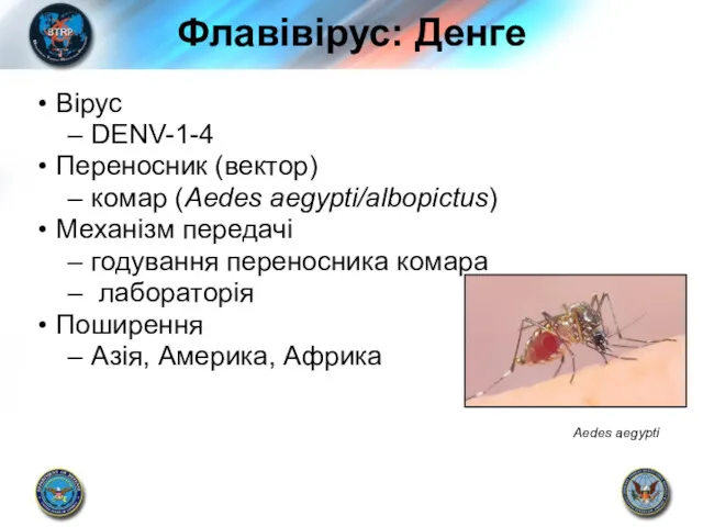 Флавівірус: Денге Вірус DENV-1-4 Переносник (вектор) комар (Aedes aegypti/albopictus) Механізм