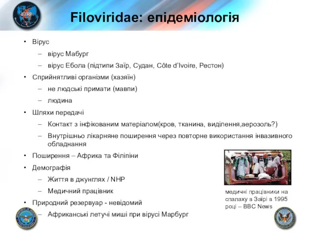 Filoviridae: епідеміологія Вірус вірус Мабург вірус Ебола (підтипи Заїр, Судан,