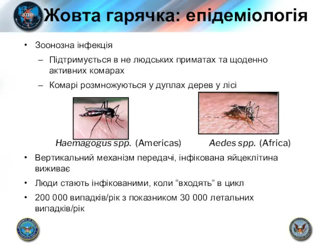 Зоонозна інфекція Підтримується в не людських приматах та щоденно активних комарах Комарі розмножуються