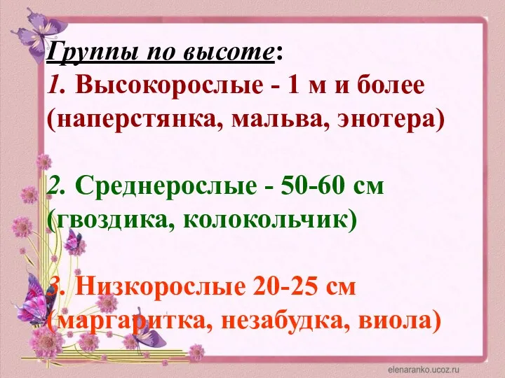 Группы по высоте: 1. Высокорослые - 1 м и более (наперстянка, мальва, энотера)