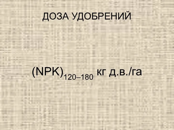 ДОЗА УДОБРЕНИЙ (NPK)120–180 кг д.в./га