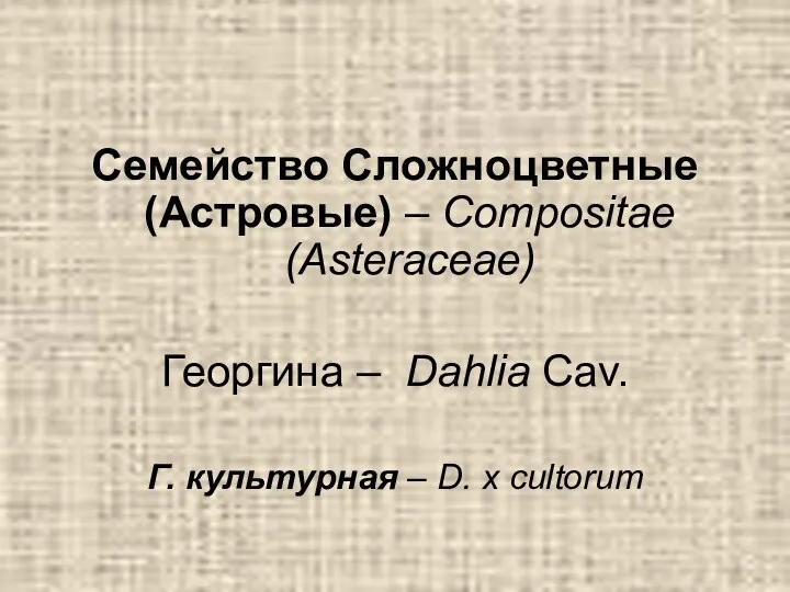 Семейство Сложноцветные (Астровые) – Compositae (Asteraceae) Георгина – Dahlia Cav. Г. культурная – D. x cultorum