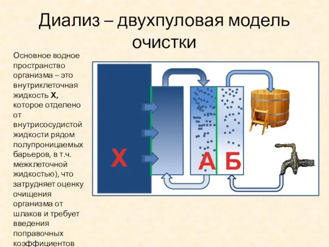 Диализ – двухпуловая модель очистки Х Основное водное пространство организма