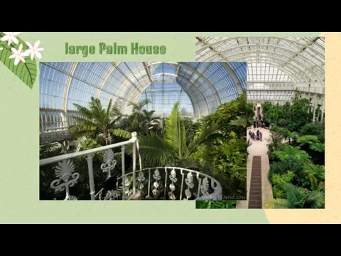 large Palm House