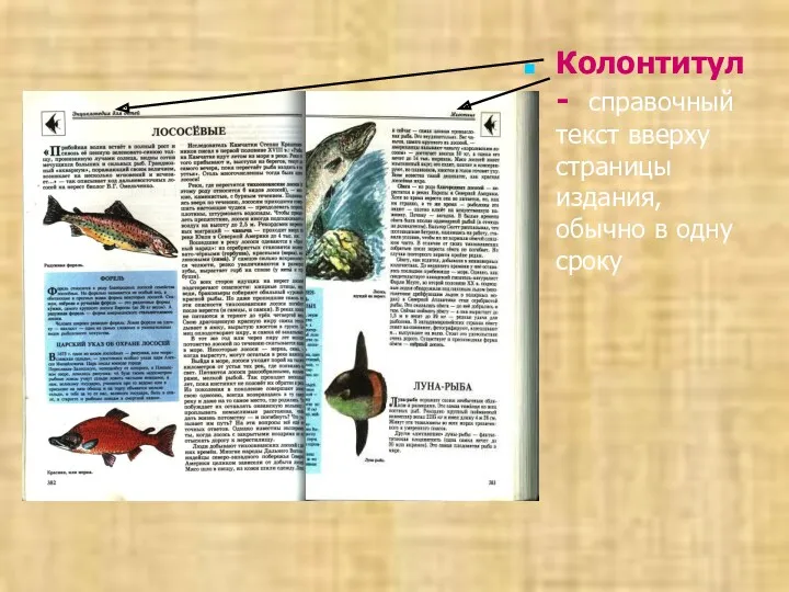 Колонтитул - справочный текст вверху страницы издания, обычно в одну сроку