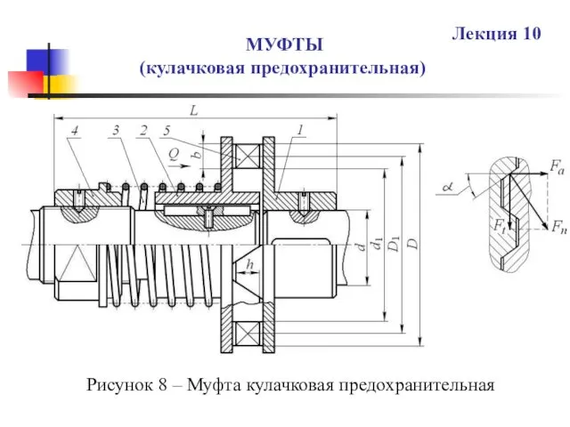 МУФТЫ (кулачковая предохранительная) Лекция 10 Рисунок 8 – Муфта кулачковая предохранительная