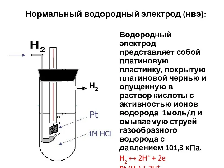 Нормальный водородный электрод (нвэ): Водородный электрод представляет собой платиновую пластинку,