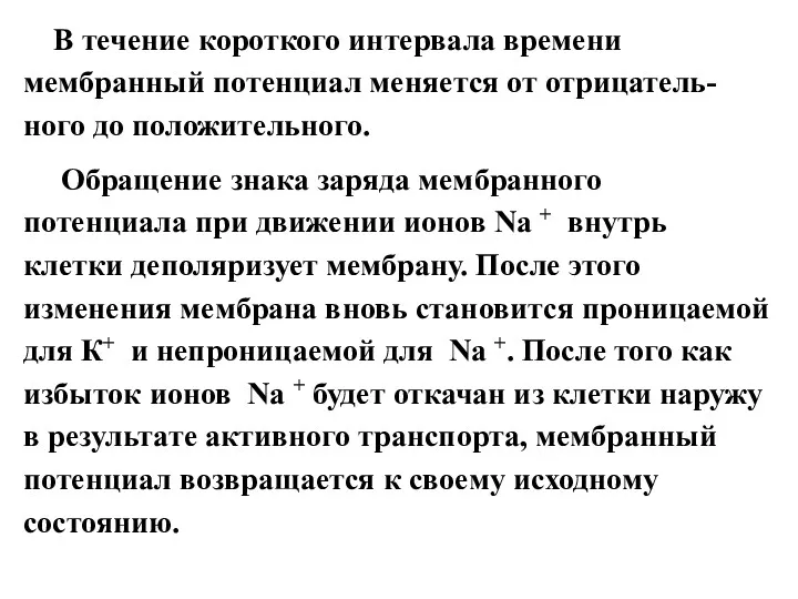 В течение короткого интервала времени мембранный потенциал меняется от отрицатель-