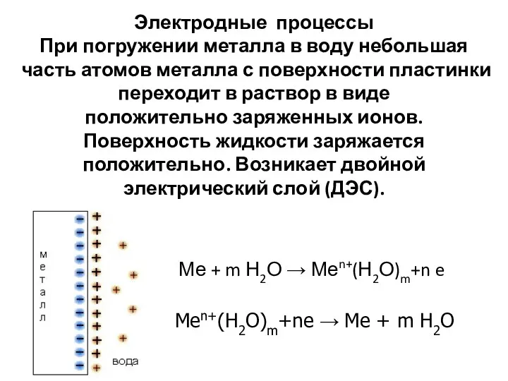 Электродные процессы При погружении металла в воду небольшая часть атомов