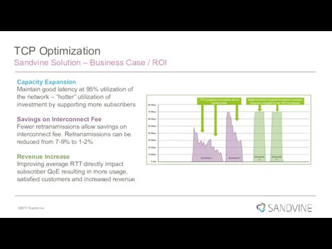 TCP Optimization Sandvine Solution – Business Case / ROI Capacity