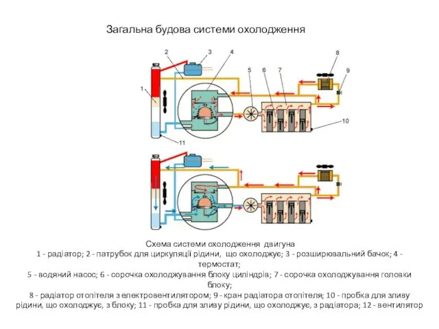 Схема системи охолодження двигуна 1 - радіатор; 2 - патрубок