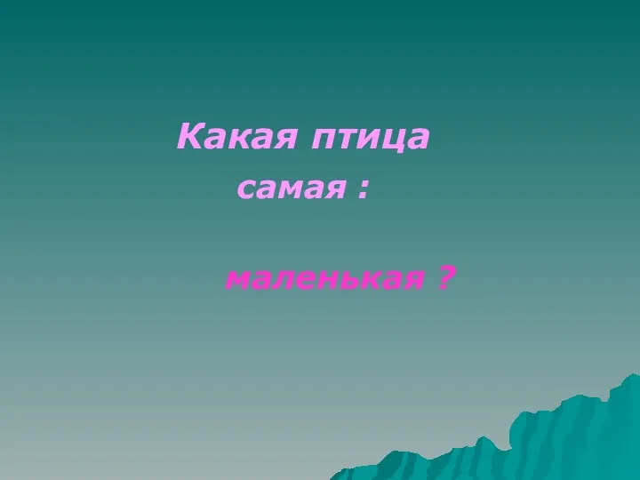 Какая птица самая : маленькая ?