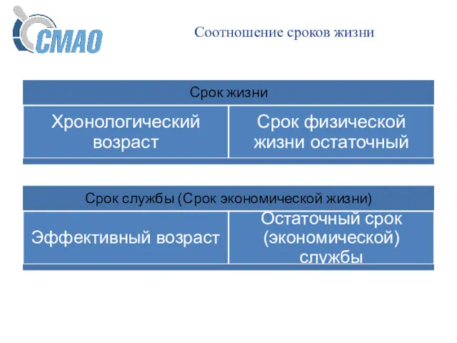 Соотношение сроков жизни