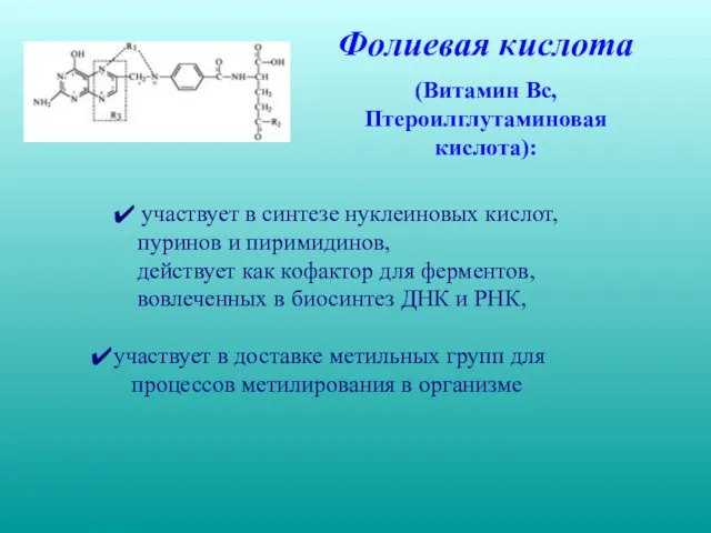 ✔ участвует в синтезе нуклеиновых кислот, пуринов и пиримидинов, действует