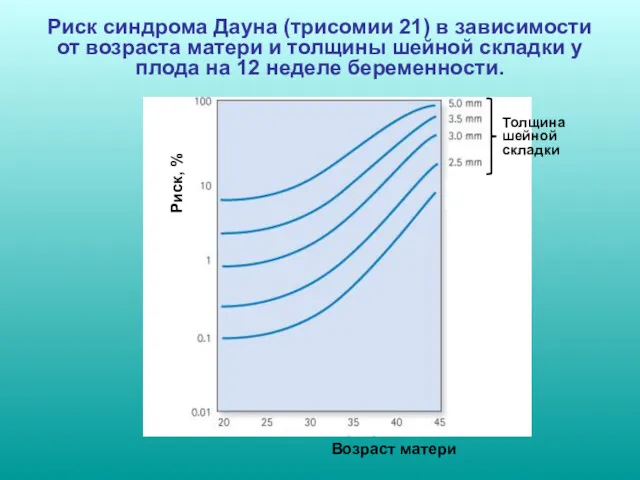 Риск синдрома Дауна (трисомии 21) в зависимости от возраста матери