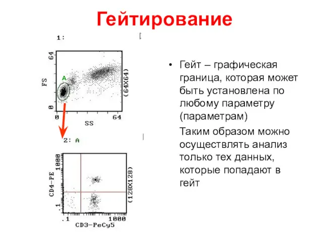 Гейтирование Гейт – графическая граница, которая может быть установлена по