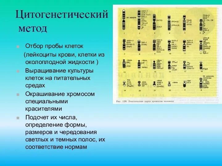 Цитогенетический метод Отбор пробы клеток (лейкоциты крови, клетки из околоплодной