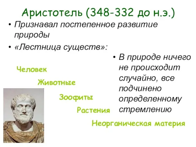 Аристотель (348-332 до н.э.) Признавал постепенное развитие природы «Лестница существ»: В природе ничего