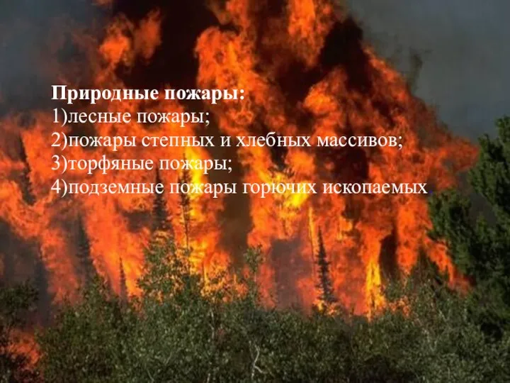 Природные пожары: 1)лесные пожары; 2)пожары степных и хлебных массивов; 3)торфяные пожары; 4)подземные пожары горючих ископаемых.