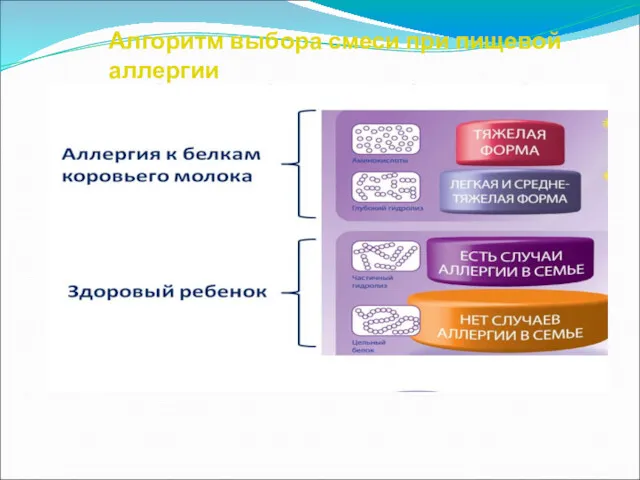 Алгоритм выбора смеси при пищевой аллергии