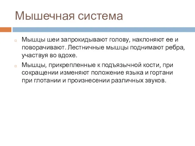 Мышечная система Мышцы шеи запрокидывают голову, наклоняют ее и поворачивают.