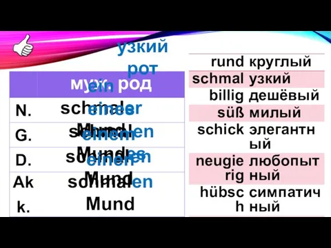 ein schmaler Mund eines schmalen Mundes einem schmalen Mund einen schmalen Mund узкий рот