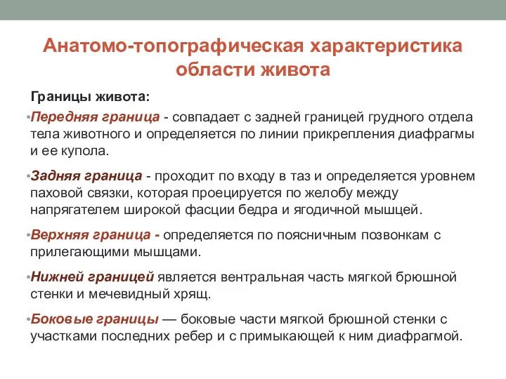 Анатомо-топографическая характеристика области живота Границы живота: Передняя граница - совпадает