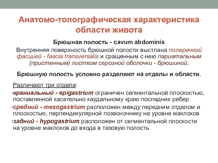 Анатомо-топографическая характеристика области живота Брюшная полость - cavum abdominis Внутренняя