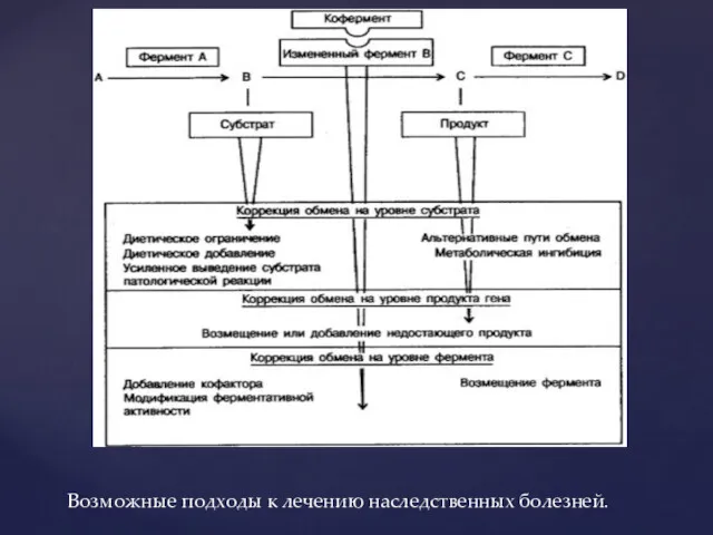 Возможные подходы к лечению наследственных болезней.