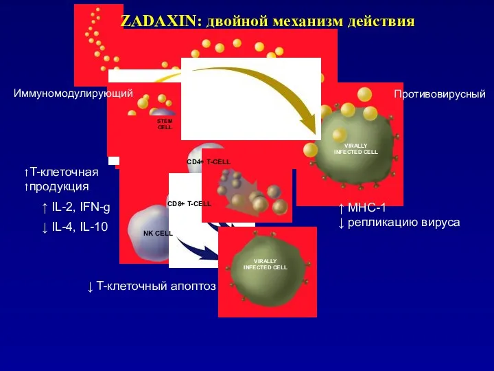 STEM CELL NK CELL ZADAXIN: двойной механизм действия VIRALLY INFECTED