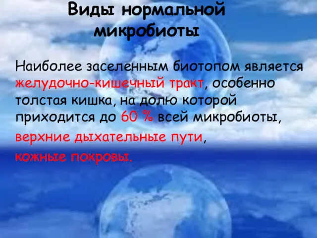 Виды нормальной микробиоты Наиболее заселенным биотопом является желудочно-кишечный тракт, особенно