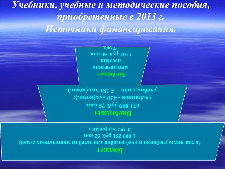 Учебники, учебные и методические пособия, приобретенные в 2013 г. Источники финансирования.