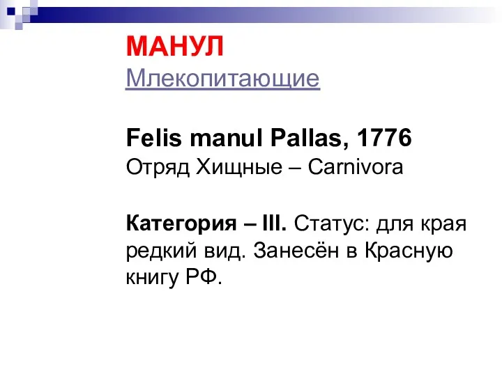 МАНУЛ Млекопитающие Felis manul Pallas, 1776 Отряд Хищные – Carnivora