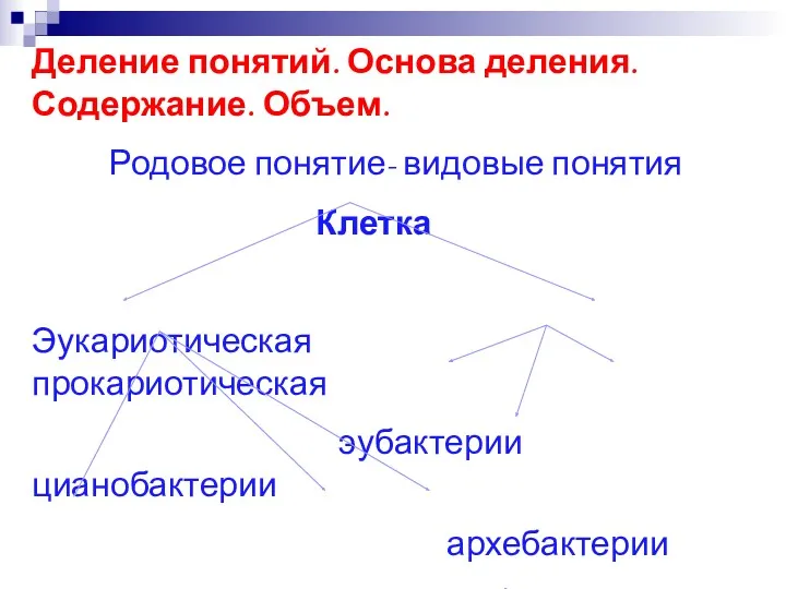 Деление понятий. Основа деления. Содержание. Объем. Родовое понятие- видовые понятия