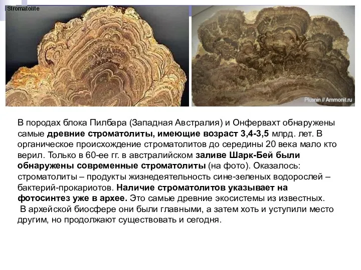 В породах блока Пилбара (Западная Австралия) и Онфервахт обнаружены самые