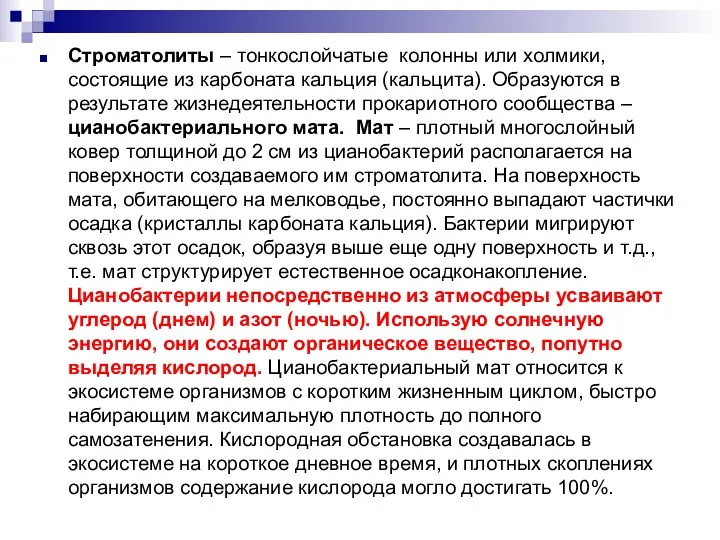 Строматолиты – тонкослойчатые колонны или холмики, состоящие из карбоната кальция