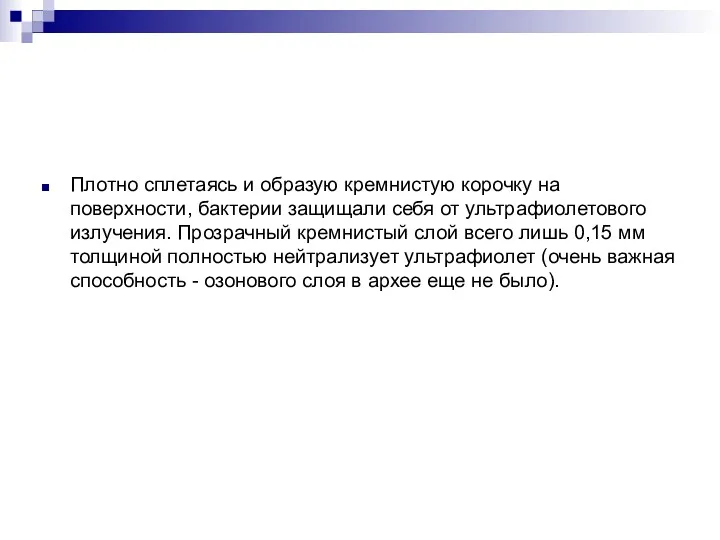 Плотно сплетаясь и образую кремнистую корочку на поверхности, бактерии защищали