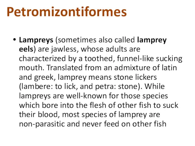 Lampreys (sometimes also called lamprey eels) are jawless, whose adults