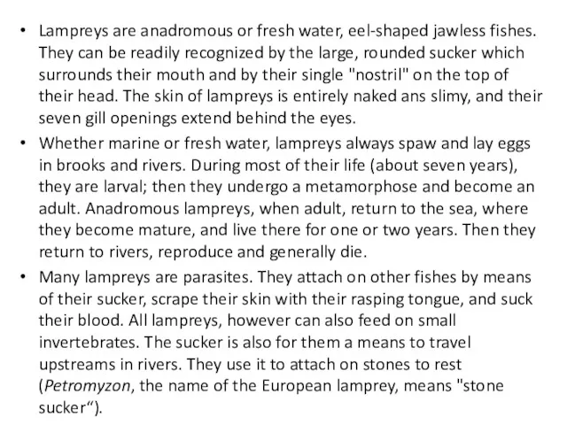 Lampreys are anadromous or fresh water, eel-shaped jawless fishes. They