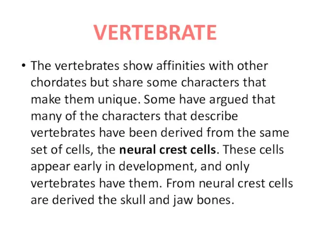 The vertebrates show affinities with other chordates but share some