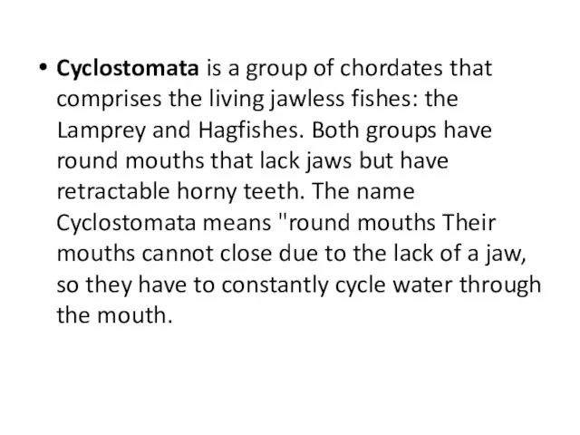 Cyclostomata is a group of chordates that comprises the living