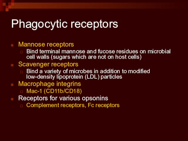 Phagocytic receptors Mannose receptors Bind terminal mannose and fucose residues