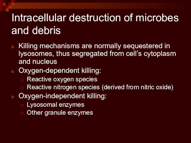 Intracellular destruction of microbes and debris Killing mechanisms are normally