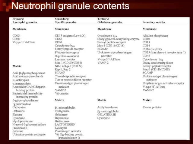 Neutrophil granule contents