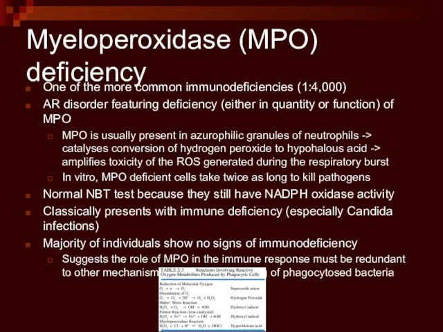 Myeloperoxidase (MPO) deficiency One of the more common immunodeficiencies (1:4,000)