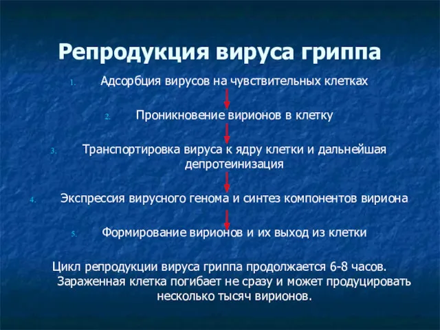 Репродукция вируса гриппа Адсорбция вирусов на чувствительных клетках Проникновение вирионов