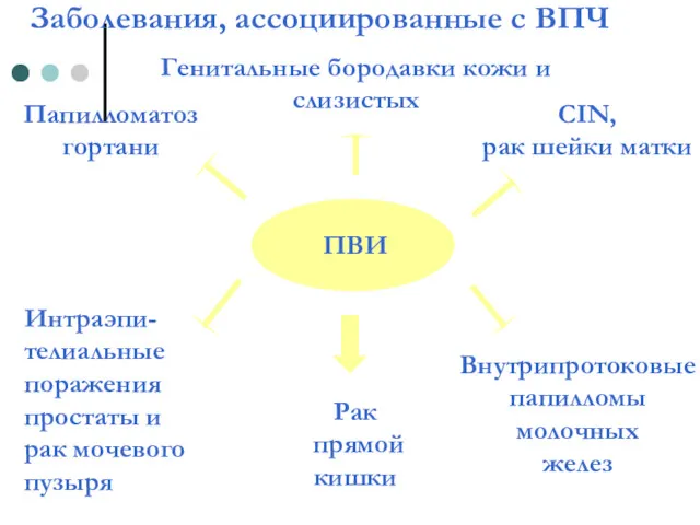 Заболевания, ассоциированные с ВПЧ ПВИ CIN, рак шейки матки Папилломатоз