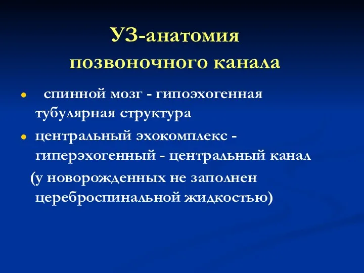 УЗ-анатомия позвоночного канала спинной мозг - гипоэхогенная тубулярная структура центральный эхокомплекс -гиперэхогенный -